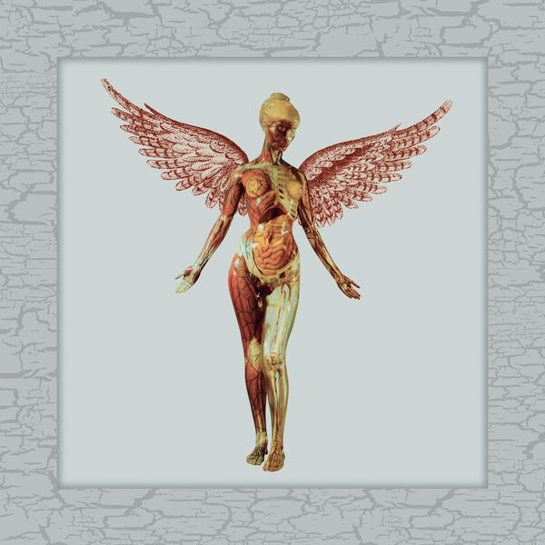 In Utero [30th Anniversary Super Deluxe Edition]